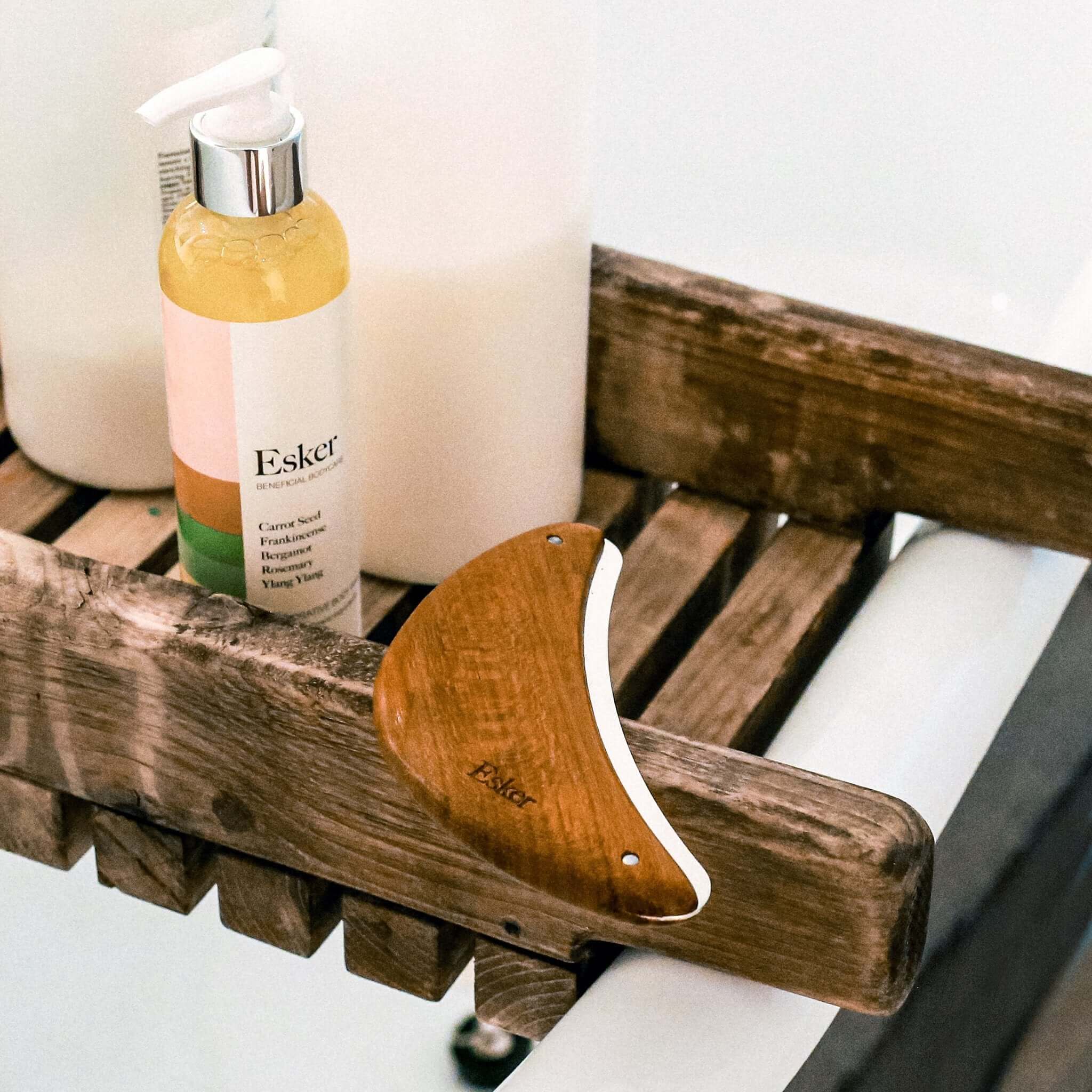 Body Plane - Image 13