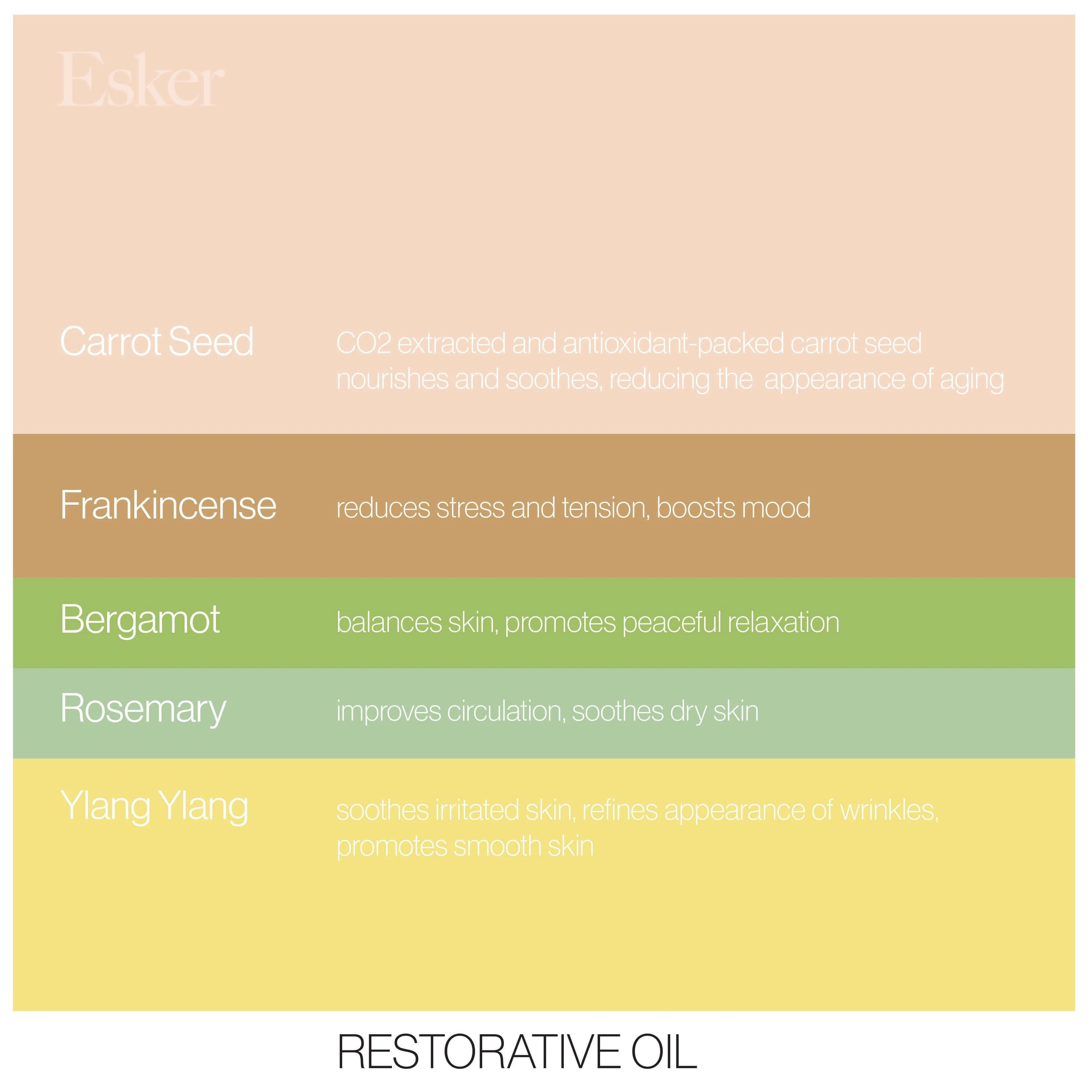 Restorative Body Oil - Image 10