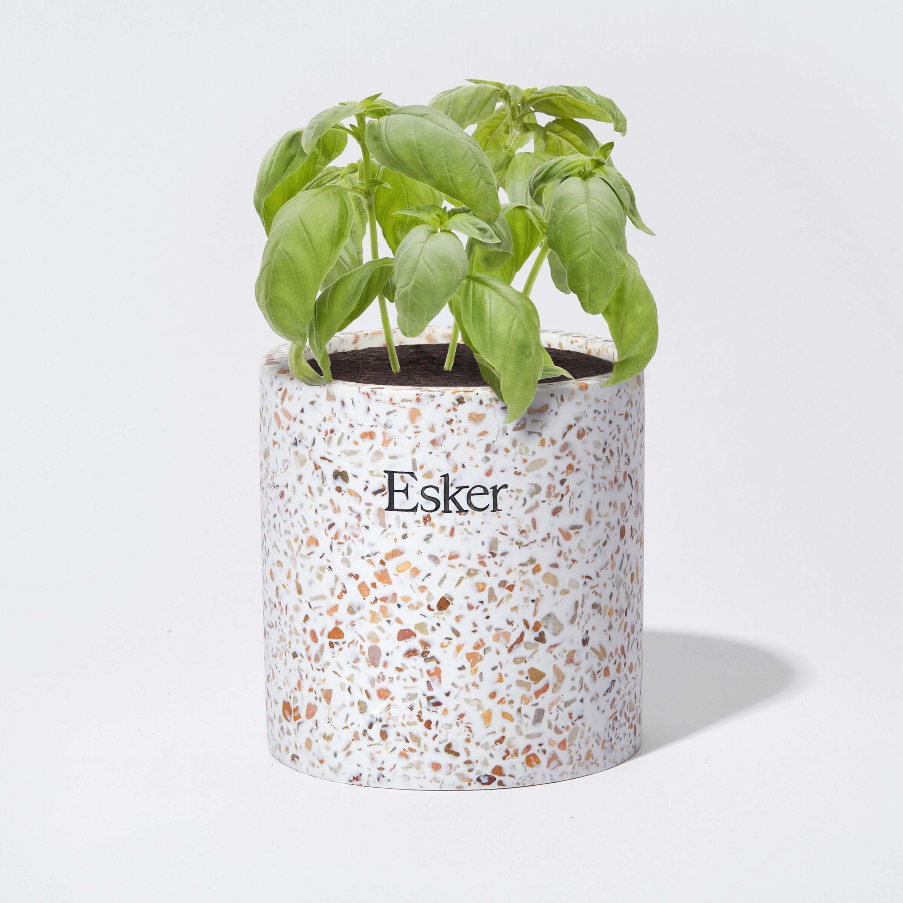 Terrazzo Plantable Candle - Image 8